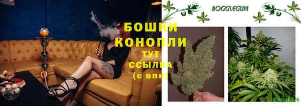 mdma Новозыбков