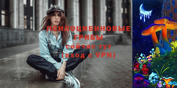 спайс Алексин