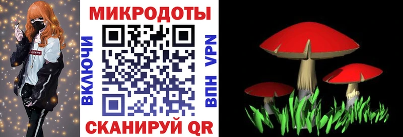 shop клад  Углич  Псилоцибиновые грибы ЛСД 